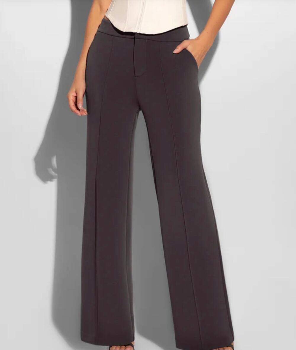 TA3 Swuity Wide Leg Scuba Trousers Graphite Gray Small 29" NWT Smooth Lining